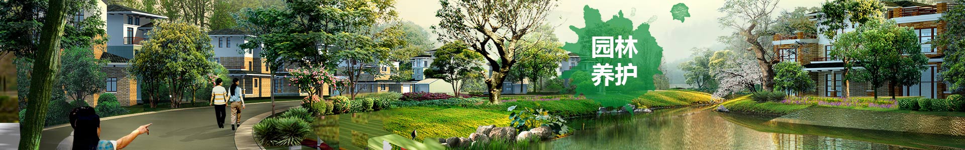 長沙市亮宇園林綠化工程有限公司_長沙園林養(yǎng)護|長沙大樹移植|小型樹種及花草哪里的好